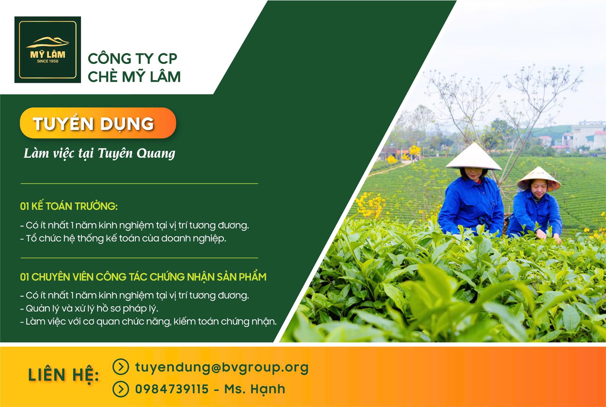Công ty cổ phần Chè Mỹ Lâm (thuộc công ty cổ phần BVlife) tuyển dụng